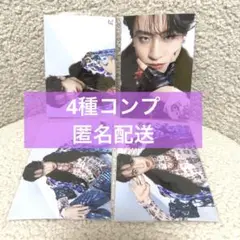 龍宮城 生写真 OSHIBAI Ray 4種コンプ