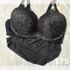 Item thumbnail for item fa1c6ab8-17ea-4056-b584-5947da5d5687