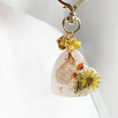 Item thumbnail for item 44e24df1-d53e-4d27-879c-e3ac2fdbd642