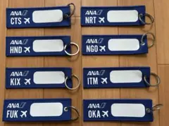 ANA くまモン 熊本空港 フライトタグ 阿蘇 黒川温泉 天草 セット