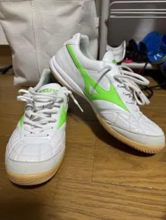 モレリアin 26cm