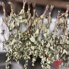 乾燥 どくだみ茶用 束 薬草のサムネイル