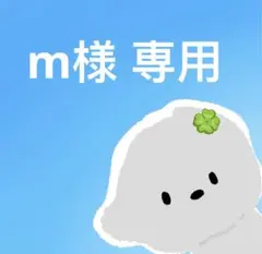 m様 専用