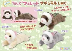 2026年最新】フェレ ぬいぐるみの人気アイテム - メルカリ