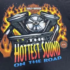 Item thumbnail for item 13636a85-4275-448d-ae5d-a9baa5c3f22f