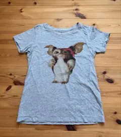 ブランドティーシャツ