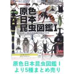 Yujin 原色昆虫類甲虫図鑑 株主優待 非売品 ユージン オオクワガタ