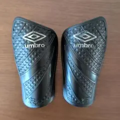 シンガード