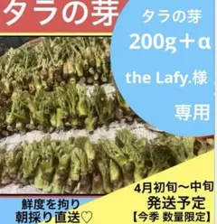 the Lafy.様専用╰(*´︶`*)╯♡