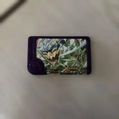 オーガポン　テラスタル　ポケモンフレンダ　スーパートレジャー