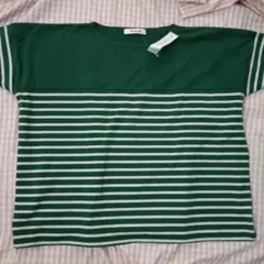 【新品】M-Lインディスライフ　グリーン×ホワイト ボーダー 半袖Tシャツのサムネイル
