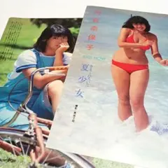 河合奈保子 IDOL NOW 切り抜き２枚