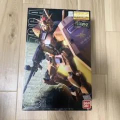 1/100 MG キャスバル専用ガンダム ガンプラ