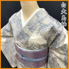 激レア 宇野千代紬‼️単衣 鳩羽色系 反端敷居当て付き 正絹 - メルカリ