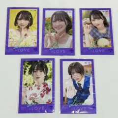 も*こ様 野口衣織 ミニフォト vol.1 コンプ