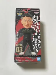 エ*ィ様 RIZIN ワールドコレクタブルフィギュア vol.1 　C. 萩原京のサムネイル