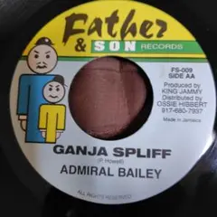 ADMIRAL BAILEY BUGSY LUST レゲエ レコード