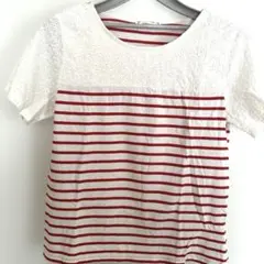 【美品】earth music&ecology M 半袖Tシャツ ストライプ