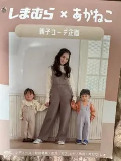 Item thumbnail for item 1b05b603-601d-4137-9b60-27527e8ad77f