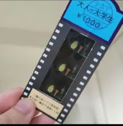 三鷹の森ジブリ美術館 激レアフィルム トトロ - メルカリ