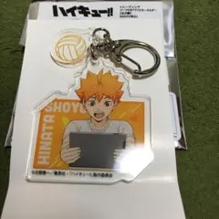 日向翔陽 ハイキュー‼︎ 振り返りタイム アクリルキーホルダー アクキー