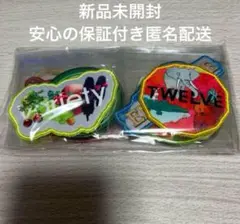 Mrs. GREEN APPLE◆ゲームシャツ ワッペン 10種セット