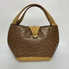 SALUEDOLE サルエドール ハンドバッグ パープル 紫 オーストリッチ 