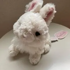 サンレモン　うさぎ　ぬいぐるみ　ラピヌ　ドワーフホト　ホワイト　白　兎　ウサギのサムネイル