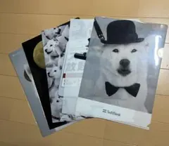 SoftBank お父さん犬デザイン クリアファイル 5枚セット