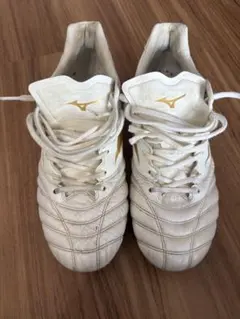 ミズノ　モナルシーダネオ　25.5