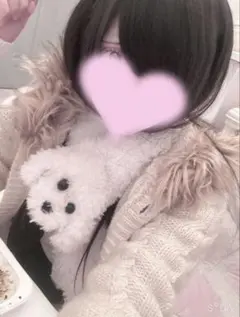 わんちゃんマフラー