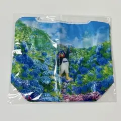 新品未開封】東京ヤクルトスワローズ 五月晴れフェスタ ビジュアルエコ