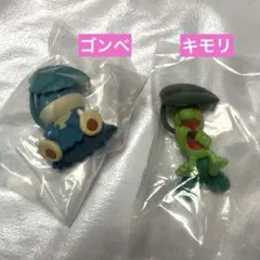 ポケモン　しとしとあまやどり　キモリ　ゴンベ　2点　セット