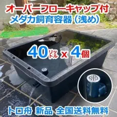 メダカ飼育ケース 75㍑x3個 黒・深緑あり オーバーフロー 金魚飼育容器 メダカ飼育ケース 75㍑x3個 黒・深緑あり オーバーフロー 金魚飼育容器