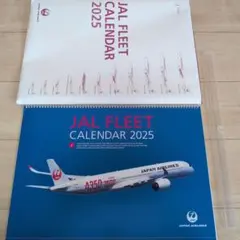 JAL 日本航空　鶴丸　機体　BIGポスター JAL 日本航空 鶴丸 機体 BIGポスター JAL 日本航空 鶴丸 機体