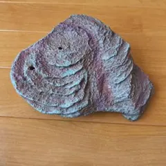 新品　GEX ジェックス カメの島 M-1 シェルター　かめ　爬虫類　ザリガニのサムネイル