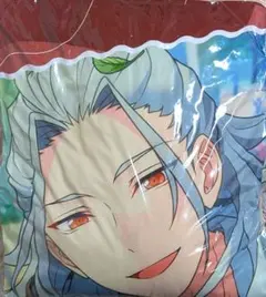 あんスタ 10th フェス 池袋GIGO 乱凪砂 ビッグクッション