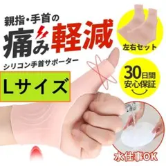 Item thumbnail for item b56a3c38-60fa-44a2-a0b8-21302694b16b