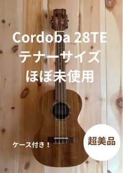 Item thumbnail for item 27a64e91-29c0-41f8-a5cd-4830a5a6f743