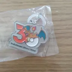 ポケモン 30周年 メタルチャームマスコット ピカチュウ ヒトカゲ