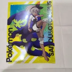 ポケモン　ファイル