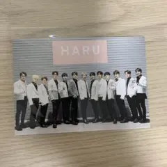 HARU セブチ seventeen 集合 全員 ローソンプリント