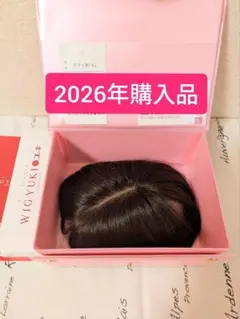 2026年購入品　WIG YUKI　F41M(S)　部分ウィッグ　ダークブラウン