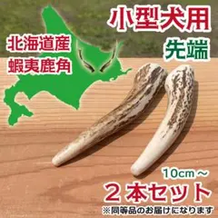 中型犬用 蝦夷鹿の角 2本セット 北海道産 犬 おもちゃ - メルカリ