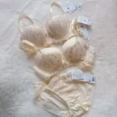 ワコール　パルファージュ　ハートフルLichブラ　E70 ショーツ　ソングM Wacoal - ワコール パルファージュ プッシュアップブラ