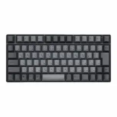 【新品未使用】REALFORCE RC1 C1HJ11 日本語配列 45g