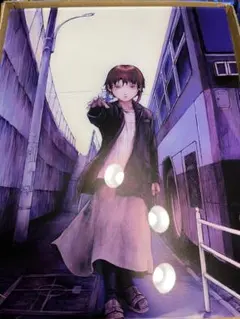 serial experiments lain アクリルアート - メルカリ
