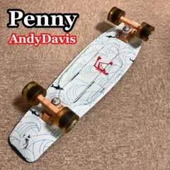 PENNY ペニー スケートボード andy davis 22インチ 美品 - メルカリ