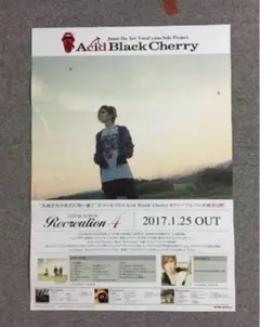 Acid Black Cherry ポスター