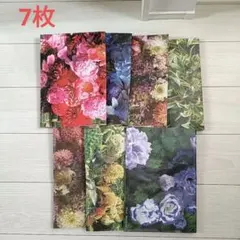 Item thumbnail for item f47dc8e6-c4a5-47b9-897a-f4b70c6fe0ef